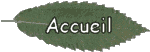 Retour à la page d'accueil