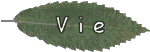Biographie