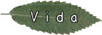 Biographie